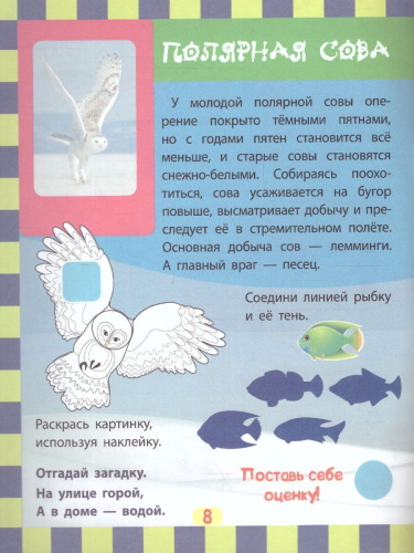 Обитатели снегов. Сборник развивающих заданий с наклейками