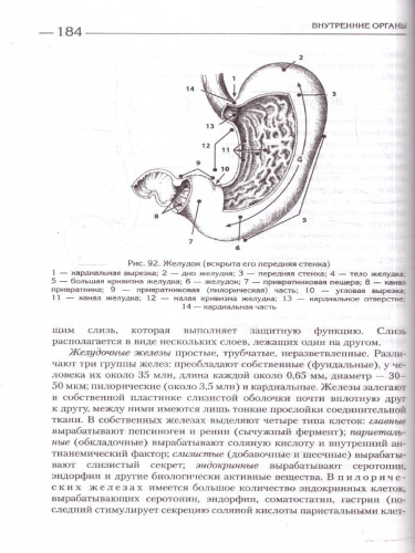 Атлас. Анатомия и физиология человека. Полное практическое пособие