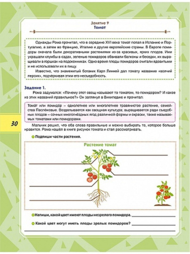 Набор из 10 шт Функциональная грамотность 4 класс. Тренажер для школьников
