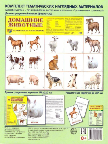 Демонстрационные картинки СУПЕР Домашние животные. 16 демонстрационных картинок с текстом. 173х220 мм