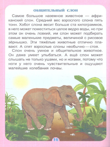 Удивительное о животных. Занимательные рассказы