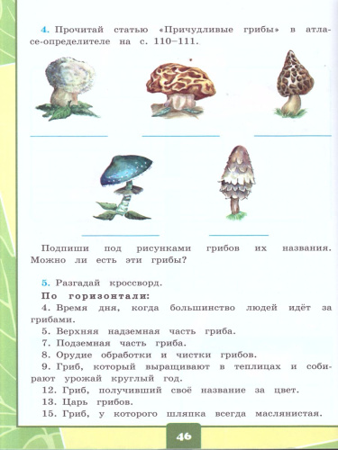 Окружающий мир 3 класс. Рабочая тетрадь для практических работ с дневником наблюдений. Часть 1. ФГОС