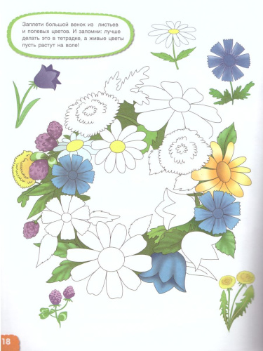 Вспоминаем лето! Мой первый альбом наблюдений. Учимся видеть и понимать