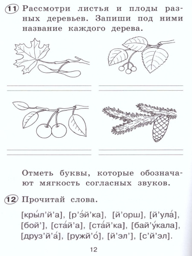 Русский язык 1 класс. Рабочая тетрадь