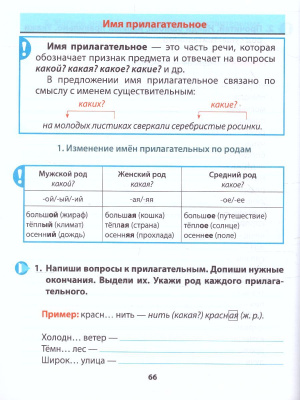 55623405-3