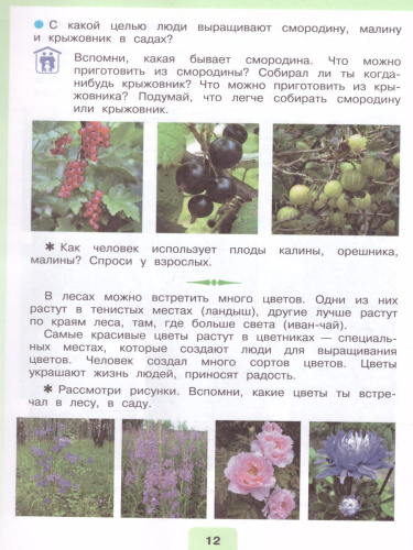 Мир природы и человека 4 класс. Учебник в 2-х частях. Часть 2 (для обучающихся с интеллектуальными нарушениями)