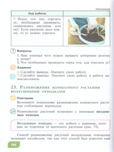 Технология 9 класс. Цветоводство и садоводство. ФГОС ОВЗ