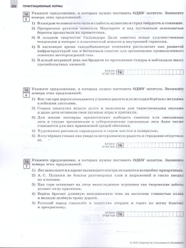 ЕГЭ 2025 Русский язык. Отличный результат