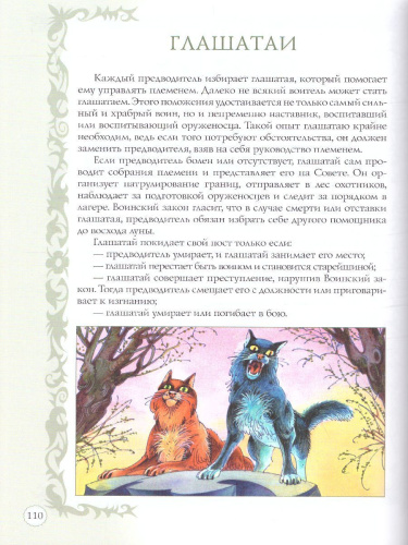 Коты-воители. Подарок. Секреты племен