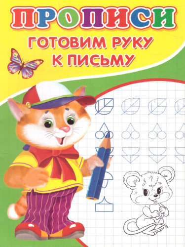 Прописи Готовим руку к письму
