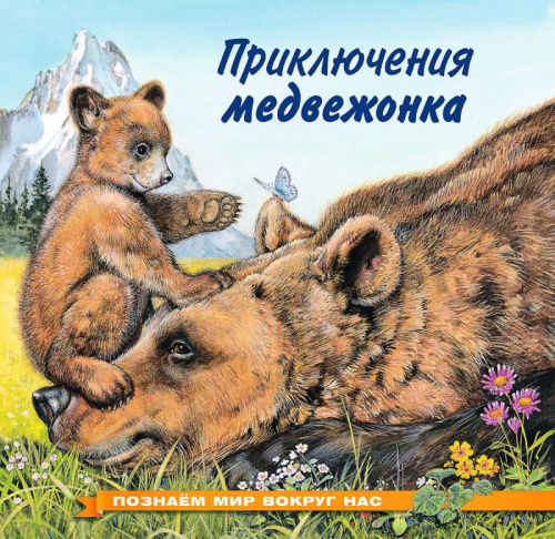 Познаем мир вокруг нас / Приключения медвежонка