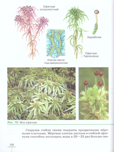 Биология 5 класс. Учебник. Вертикаль. ФГОС