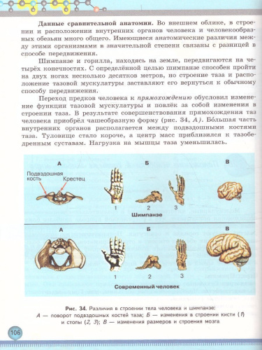 Биология 11 класс. Базовый уровень