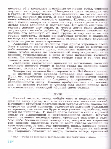 Литература 11 класс. Базовый и углублённый уровни. Учебник в 2-х частях. Часть 2