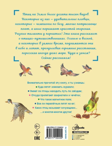 Куда летят перелётные птицы