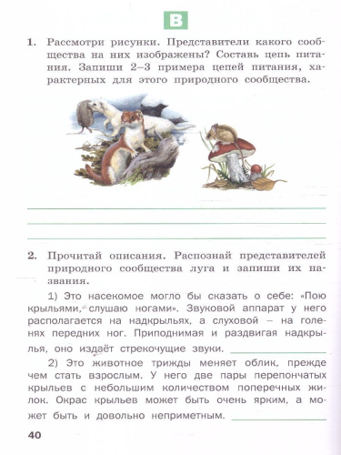 Окруж. мир 4 кл. Разноуровневые задания к УМК Плешакова. НОВЫЙ ФГОС/РТ (Вако)