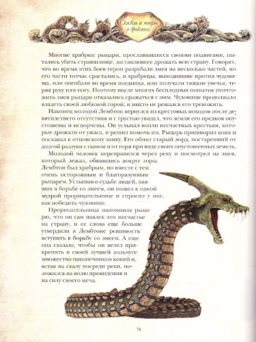 Сказки и мифы о драконах