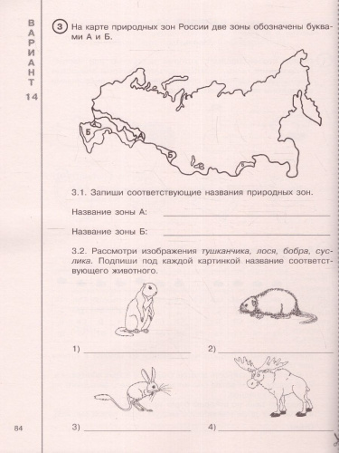 Окружающий мир за курс начальной школы. Интенсивная подготовка к ВПР