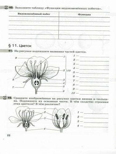 Биология 6 класс. Многообразие покрытосеменных растений. Рабочая тетрадь. С тестовыми заданиями ЕГЭ. Вертикаль. ФГОС