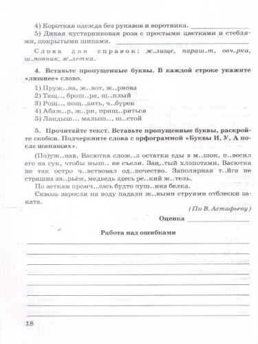 Русский язык 5 класс. Зачетные работы. ФГОС