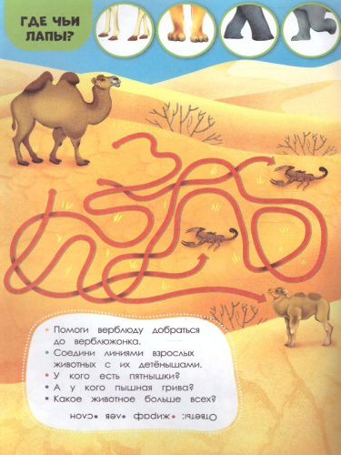 Книжка с заданиями и наклейками. Чей малыш