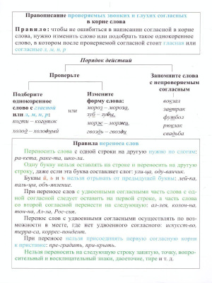 55628464-2