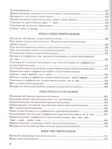 Русский язык. Справочник в схемах и таблицах