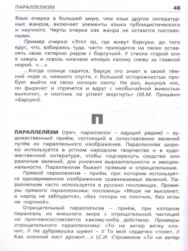 Школьный словарь литературных терминов