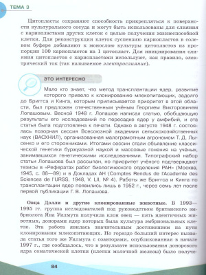 55637084-2