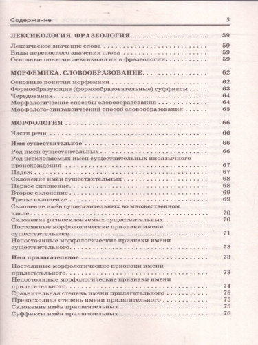 ЕГЭ Русский язык. ЕГЭ на 100 баллов. Справочник: Теория и практика