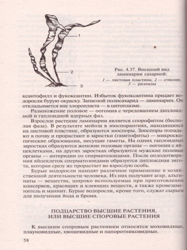 Биология для поступающих в ВУЗы. Часть 2