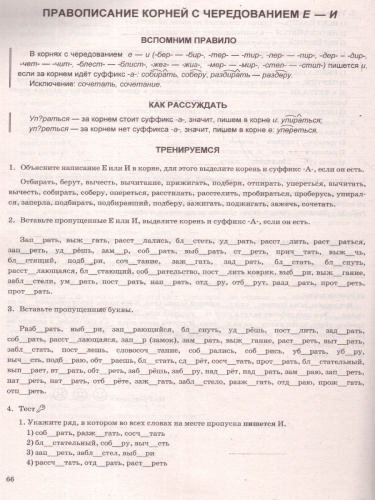 Тренажер по русскому языку 5 класс. Пишем баз ошибок. Супертренинг. ФГОС Новый