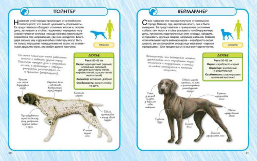 Собаки. Практическая энциклопедия. 50 шагов в мир знаний