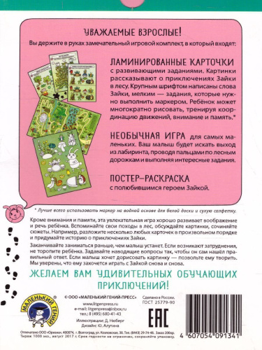 Удивительные приключения в лесу. Комплект Развитие воображения и речи 2-4 года