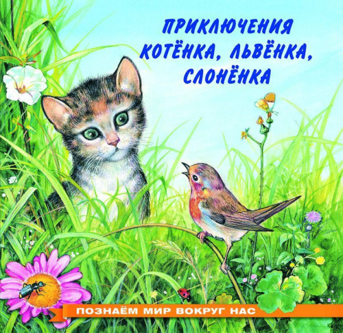 Познаем мир вокруг нас / Приключения котенка
