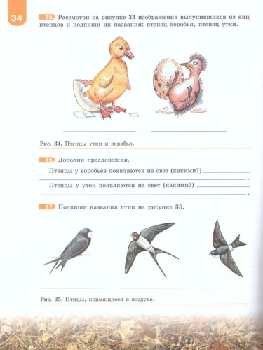 Биология 8 класс. Рабочая тетрадь. Для учащихся специальных (коррекционных) образовательных учреждений VIII вида