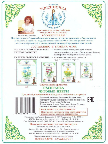 Раскраска "Луговые цветы"