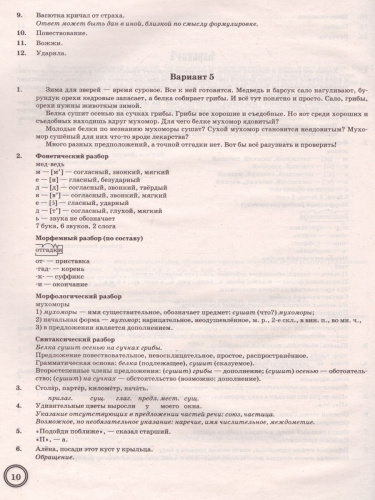 ВПР Русский язык 5 класс. 10 вариантов Экзаменационные задания ФГОС