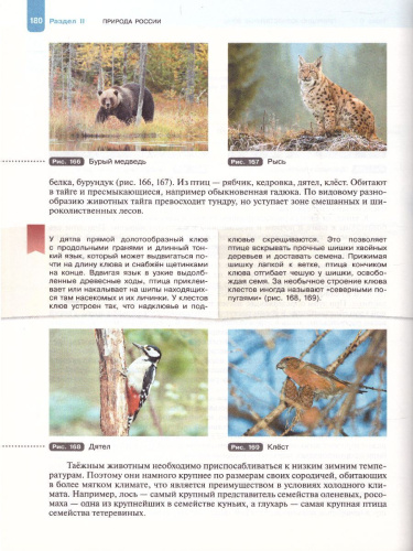 География 8 класс. Природа, население. Учебник