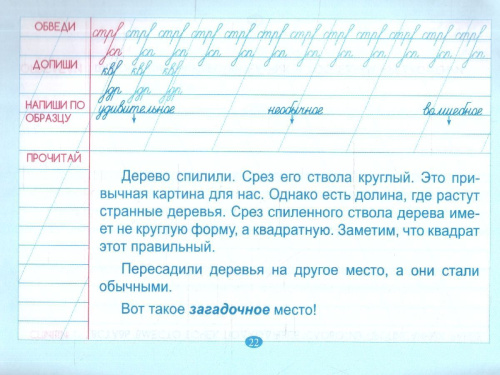 Тренажёр по чистописанию. Подготовка к контрольному списыванию 3 класс