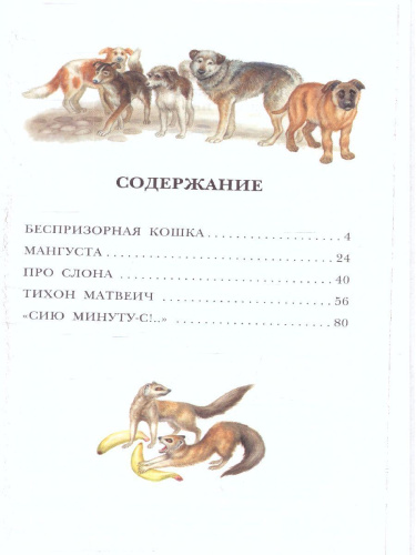 Рассказы про животных / Детское чтение