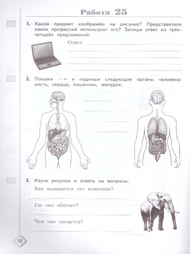 Окружающий мир. 3 класс. Готовимся к ВПР. Новый ФП. ФГОС