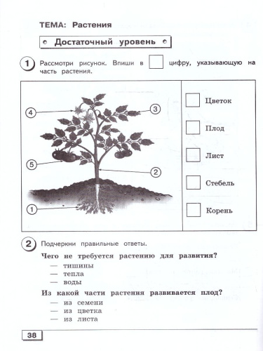 Мир природы и человека 3 класс. Проверочные работы. Для обучающихся с интеллектуальными нарушениями