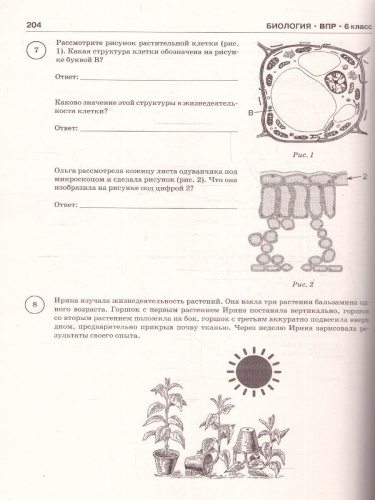 ВПР 6 класс. Сборник тренировочных вариантов проверочных работ