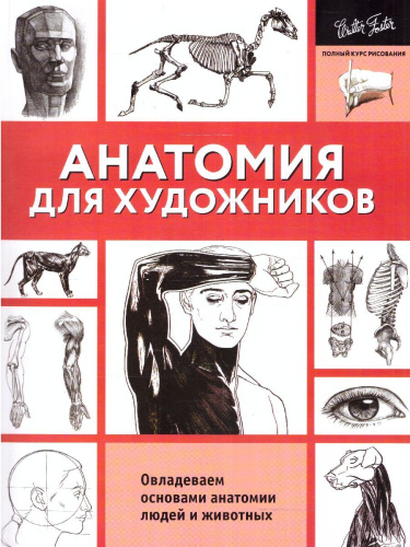 Анатомия для художников. Полный курс рисования