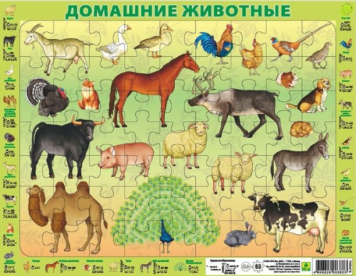 Детский пазл на подложке. Домашние животные. (36х28см,63эл.)