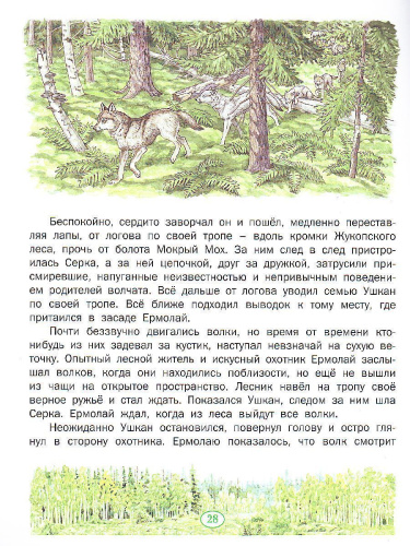 История одного волчонка (Сказки русского леса)