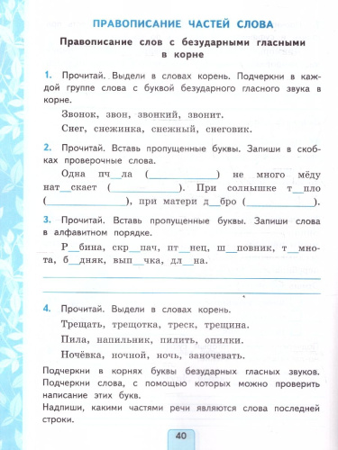 Русский язык 3 класс. Проверочные работы. К учебнику В. П. Канакиной, В. Г. Горецкого. ФГОС Новый