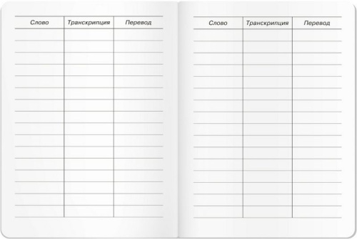 Тетрадь для записи английских слов в начальной школе "Мишка"