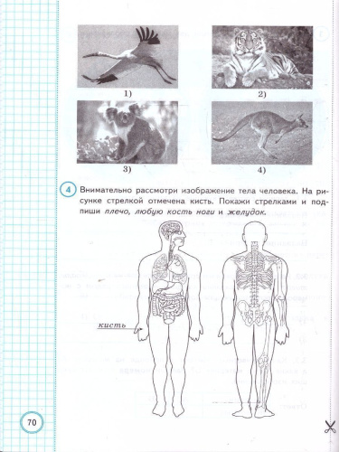 ВПР Окружающий мир за курс начальной школы. Типовые задания. 10 вариантов. ФИОКО. ФГОС НОВЫЙ